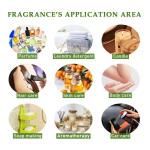 Famous Perfume Fragrance Custom Branded Perfume Oil