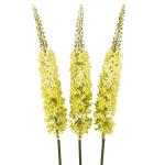 Decoration Fox Tail Grass Simulation Flower Home Living Room Ponytail Flower