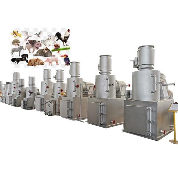 Diesel Natural Gas LPG Fuel Animal Waste Incinerator Cremation Machine For Dead