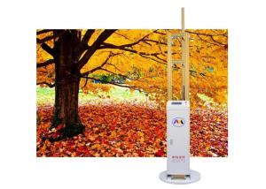 Wholesale Zkmc Hotel 3d Wall Inkjet Printer Net Height Drawing Customizable from china suppliers