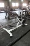 Adjustable Back Extension Roman Chair Home Gym Strength Training Machine for