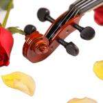 Fengling Full Size Flamed Solid Wood Violin Handmade for Beginner Student grade