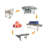 Hot selling New Style Nettoyage Humide Vegetable Cleaning Machine by Huafood