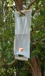Collapsible Water Storage Carrier - 1.9 Gallon Portable Container with Spigot,