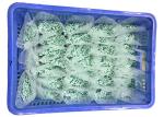 REACH Slight Green 120 Degree 2.5mm Nylon Cable Ties