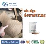 High Molecular Flocculant Cationic Landfill Leachate Wastewater Treatment