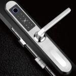 Password RF Card E6900W Aluminum Door Bluetooth Gate Locks
