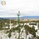 36M Q345 Telecommunication Monopole For Wireless