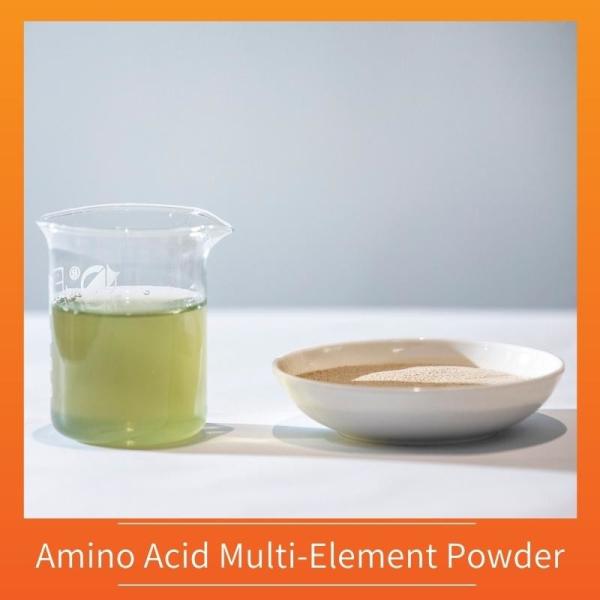 Ph4-6 Amino Acid Foliar Fertilizer N6 Amino Acid Chelated Fe Cu Mn Mo Zn B