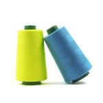 20S/2 20S/3 5000m Polyester Thread 800 Colors For Sewing Machine