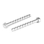 Stainless Steel Hex Head Masonry Concrete Anchors Bolts Screws for Power Supply