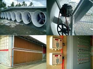 Wholesale WorldPoultry - Night time cooling pad operation during extremely hot from china suppliers