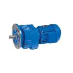Flange Mounted Helical Inline Geared Motor R Series Gearmotor High Torque