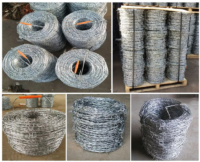 4 Points 2 Strands Electrical Galvanised Barbed Wire Double Twist