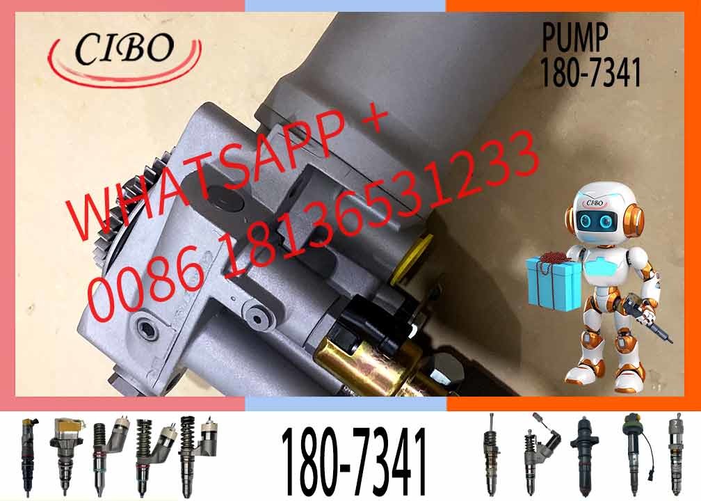 325C E322C E325C Diesel Pump 1807341 10R2995 1340467 10R7053 3126B Fuel Injection Pump 10R-2995 134-0467 10R-7053