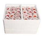 Condiment Bottle Packing Foam Box Lining Positioning Box EPS Bottle Inside Glass