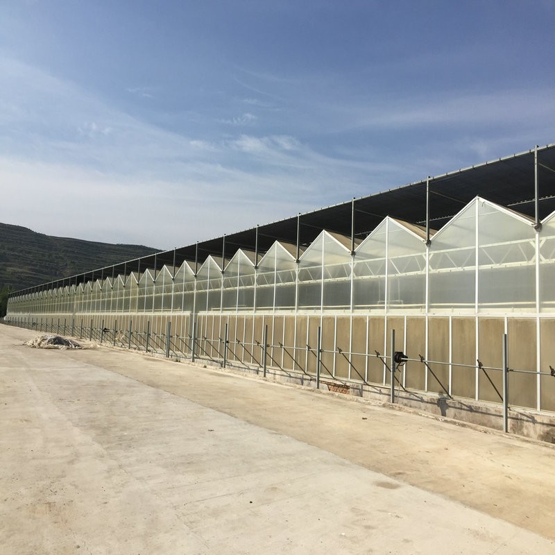 Greenhouse Plastic Sheet/PC Sheet Greenhouse with Stable Structure and Vents