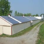 Modern Long Span Steel Construction Building High Capacity Prefabricated Poultry