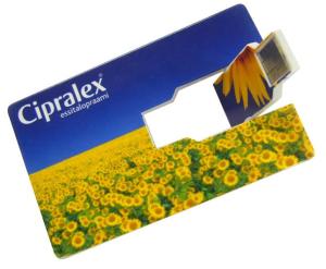 China Kongst High Quality Credit Card USB 1GB-64GB/Business Card USB Stick on sale