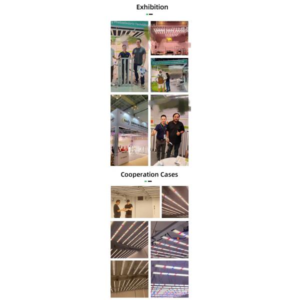 EU Dimmable Lm301h Evo Lm281b Grow Lamp Full Spectrum 480 Watt Bar Led Grow Light for Indoor Plants