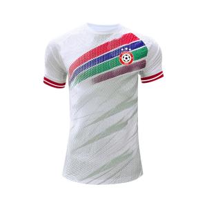 Wholesale The Ivory Coast Africa Cup of Nations Jersey Exceptional Fabric and Craftsmanship from china suppliers