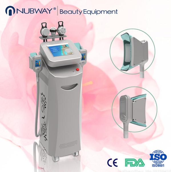 2019 hottest 5 handles criolipolysis Best selling vacuum cavitation freeze fat