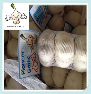 Wholesale normal white garlic 6.0cm crazy selling 2016 crop high quality fresh garlic from china suppliers