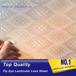PLASTIC LENTICULAR transparent 3d pp fly eye lens flys eye array lenticular