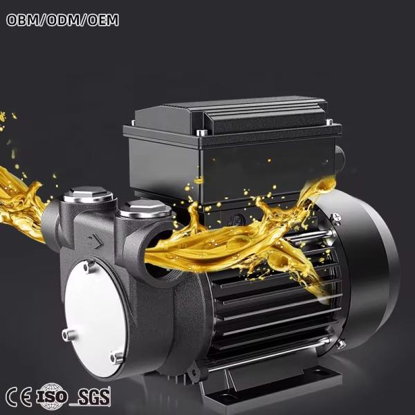 Oil Pump High Flow Compact Size 220 Volt 60L/min Portable Diesel Fuel Transfer Pump