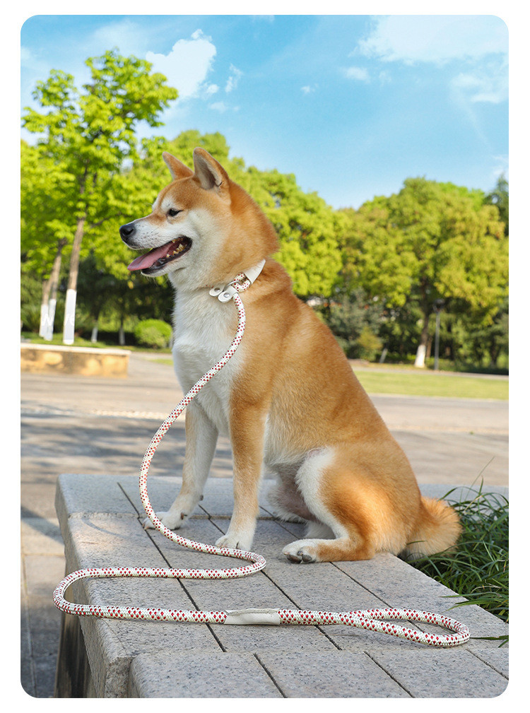 Pets Nylon Sturdy And durable Leash High Quality Traction Rope For Dog And Cat