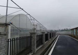Wholesale Simple Structure Plastic Film Greenhouse For Vegetables / Fruits Growing from china suppliers