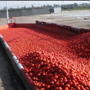 Wholesale Tomato Paste Production Line For 300 Tones A Day Processing Machine from china suppliers