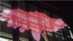 IP65 P37 Outdoor Curve Led Video Wall / Rental Flexible Led Display