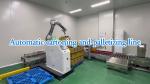 Potato Snack Packaging Machine Snack Processing Plant Dedicated Vertical