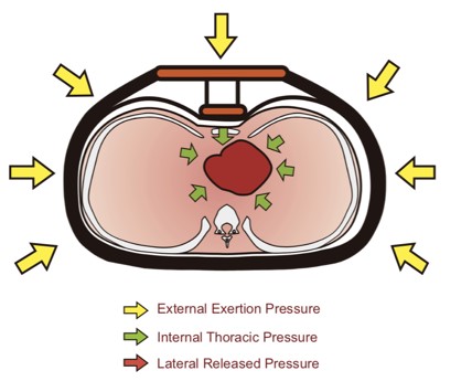 Continuous/302 Heart Resuscitation Machine Mechatronic For Cardiopulmonary Resuscitation MCC-E5