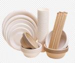 Virgin Paper Tableware Pulp Molding Equipment , Disposable Paper Plates Making