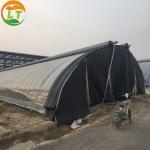 Agricultural Light-Sensitive Greenhouse The Perfect Solution for Mushroom