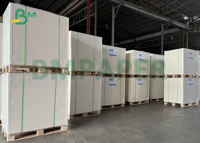 300gsm + 15g PE Coated Cupstock Board For Hot Coffee 840 x 710mm Eco Friendly