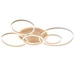 Cool Rings ceiling lights White Color For Indoor Home Lighting Fixtures (WH-MA
