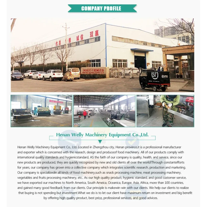 Commercial Chicken Escalope Potato Patty Starching Machine Fish Nuggets Starching Machine