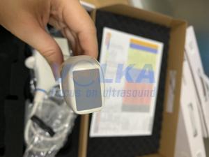 Wholesale Mindray New Phased Cardica Ultrasound Probe P4-2 For DC60EXP from china suppliers