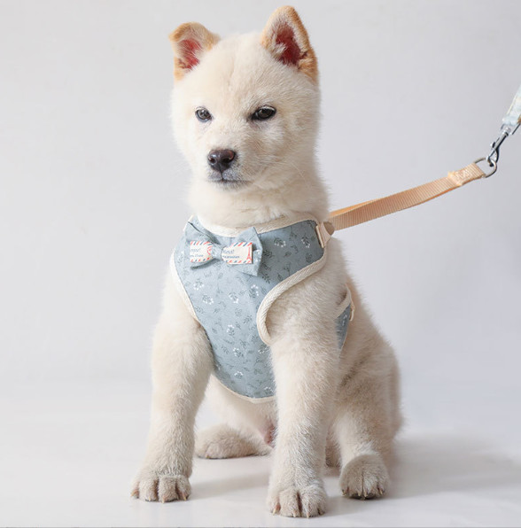 good cat harness