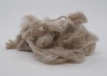 Flame Retardant Regenerated Polyester Fiber 15D 64mm Automotvie Fabric Use