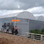 Flower and Vegetable Growing Hothouse Quonset Hut Conservatory Growing House