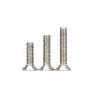 DIN 7991 SUS304 316 Hexagon Socket Countersunk Flat Head Bolt Carriage Bolts