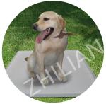 Disposable Pet Pad Machine