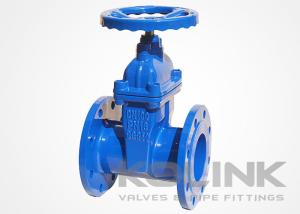 Wholesale Resilient Seated Ductile Iron Gate Valve Encapsulated Disc GGG40 GGG50 from china suppliers