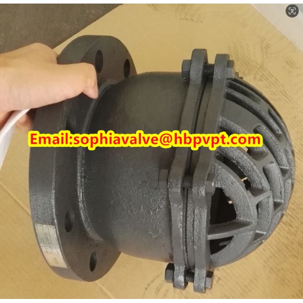 6 inch GG20 BS4504 flanged foot valve