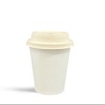 Food Grade Paper Disposable Single Wall Cups FSC Certified For Hot And Cold