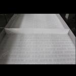 Food Industry Conveyor Inclined Belt Plastic Table Top Chain Conveyor System